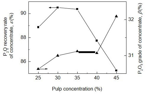 Fig.2 Effect of pulp concentration on P2O5 grade and recovery rate of concentrate.jpg